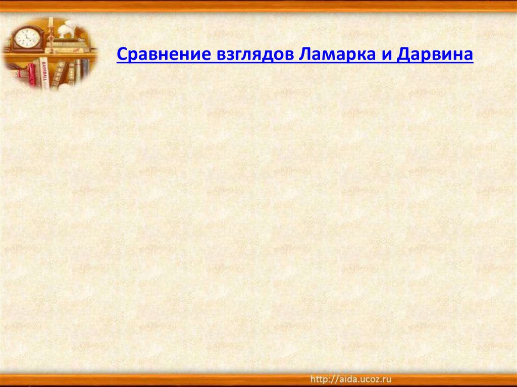 Сравнение взглядов