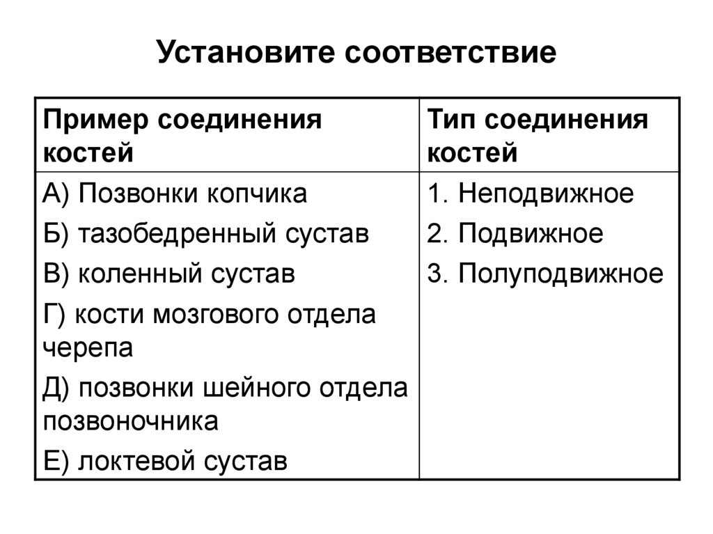 Установите соответствие презентация