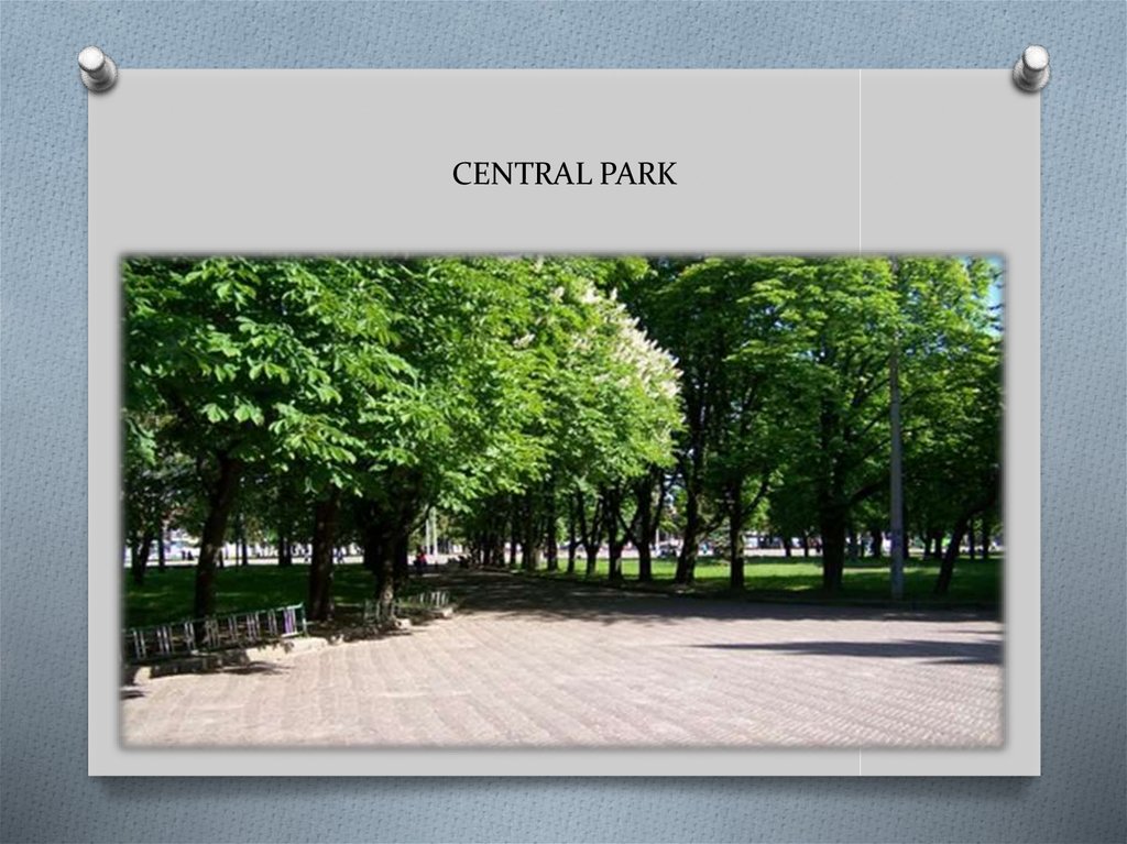CENTRAL PARK