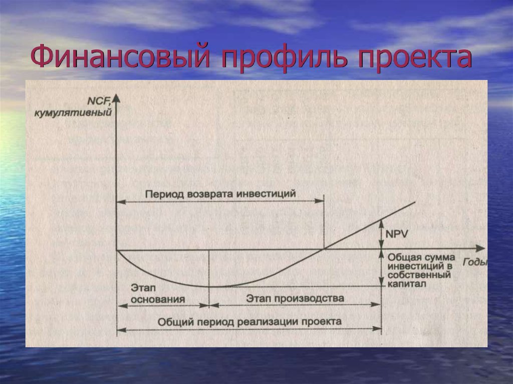 Финансовый профиль инвестиционного проекта