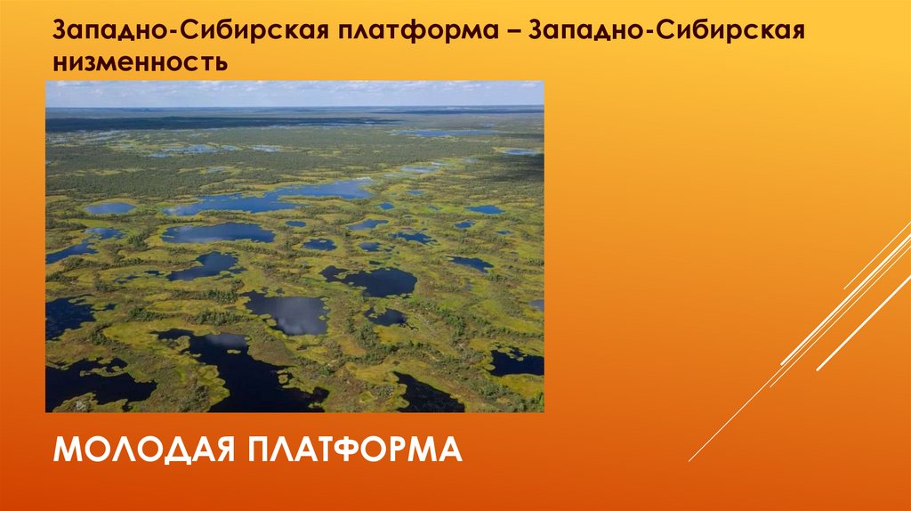 Особенности почв западно сибирской равнины. Низменности на Западно сибирской платформе. Молодая платформа равнина Западно Сибирская. Равнины на сибирской платформе. Почвы Западно сибирской равнины.