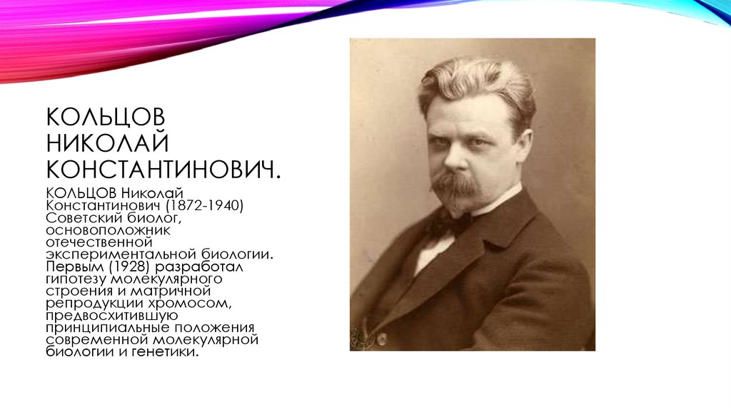 Кольцов Николай Константинович.