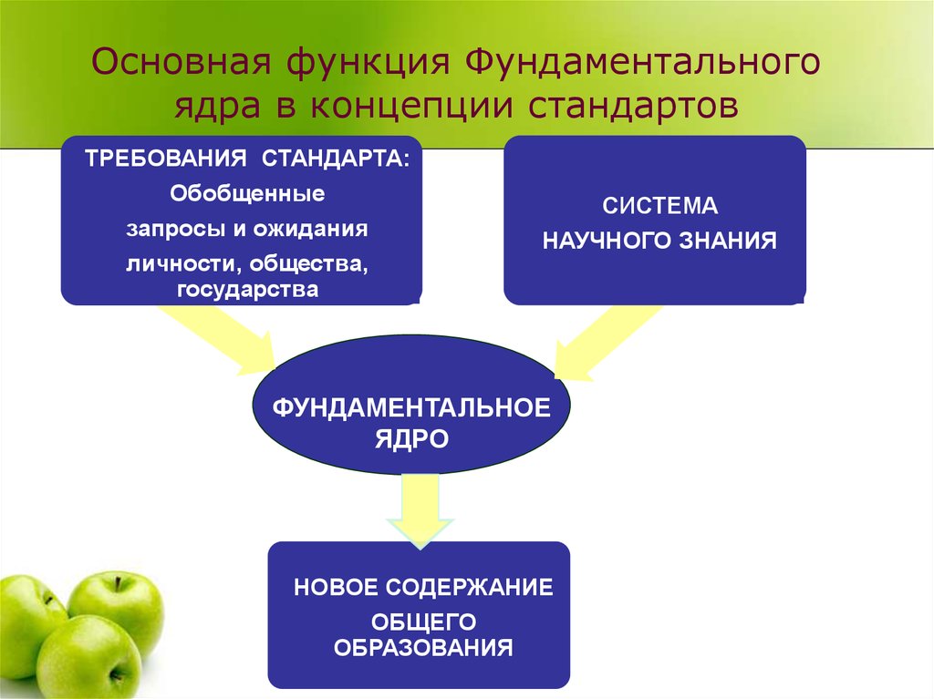 Концептуальные стандарты. Фундаментальность функции. Фундаментальная функция. Фундаментальное ядро - это мой ответ. Связь фундаментальных функций.