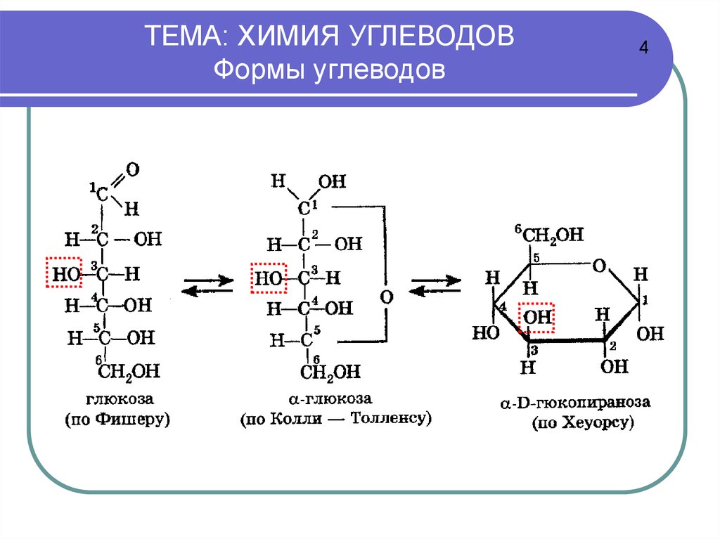 Углеводы презентация 10 класс химия