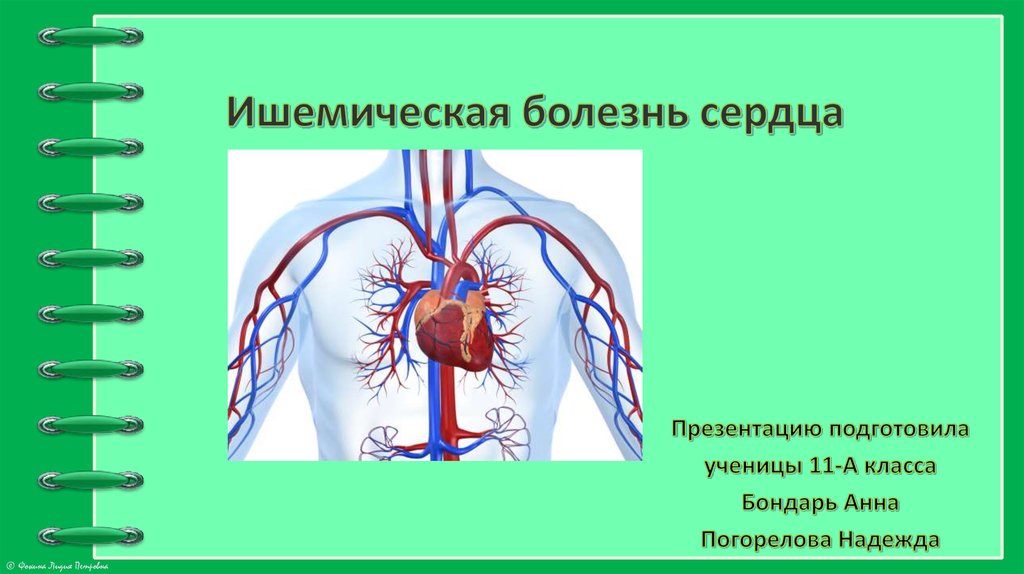 Ишемическая болезнь сердца презентация на английском языке