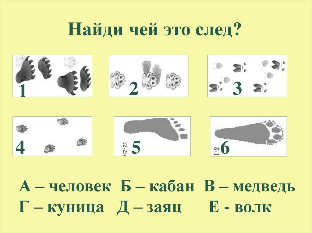 Игра чьи следы презентация