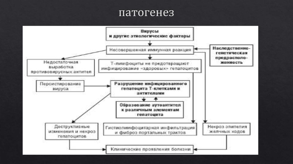 Патогенез гепатита с схема