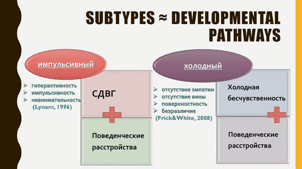 subtypes ≈ developmental pathways