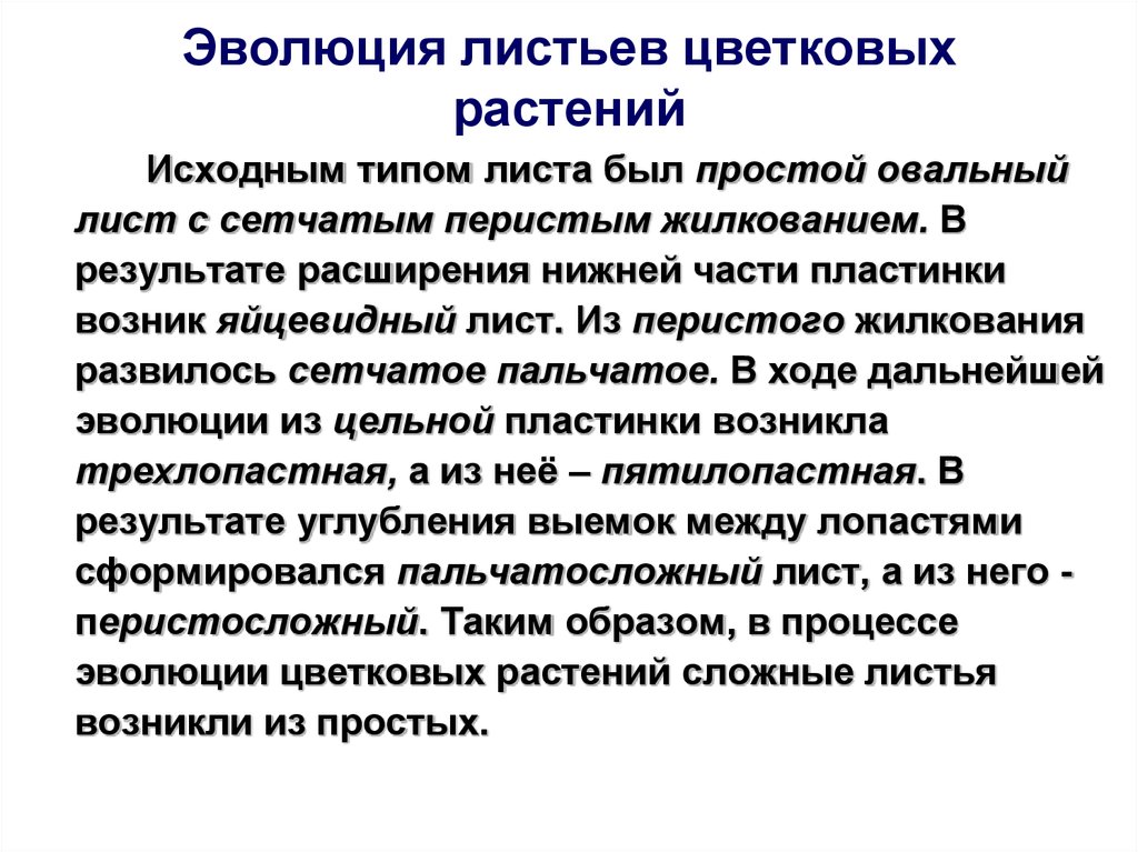 Развитие листа. Эволюция цветковых растений. Эволюция листа у растений. Происхождение (Эволюция) листа растений. Эволюция листьев цветковых растений.