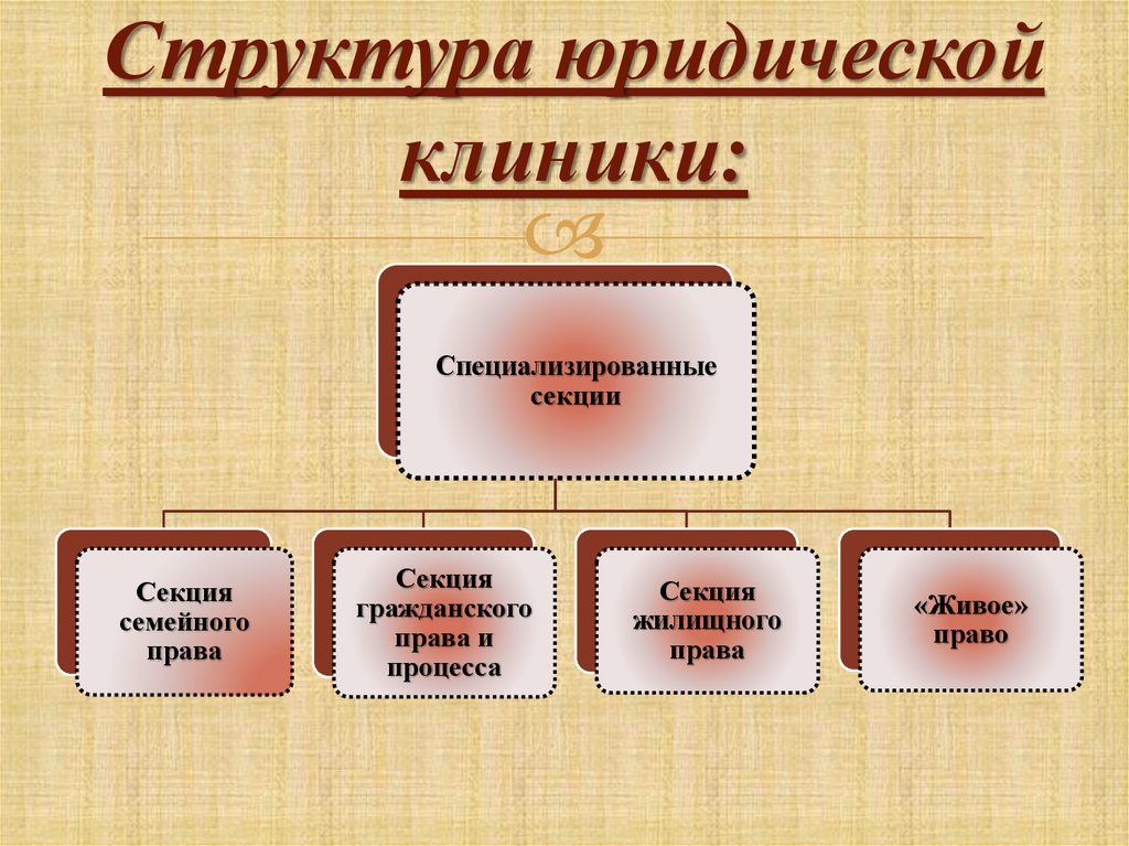 Структура юридической фирмы схема