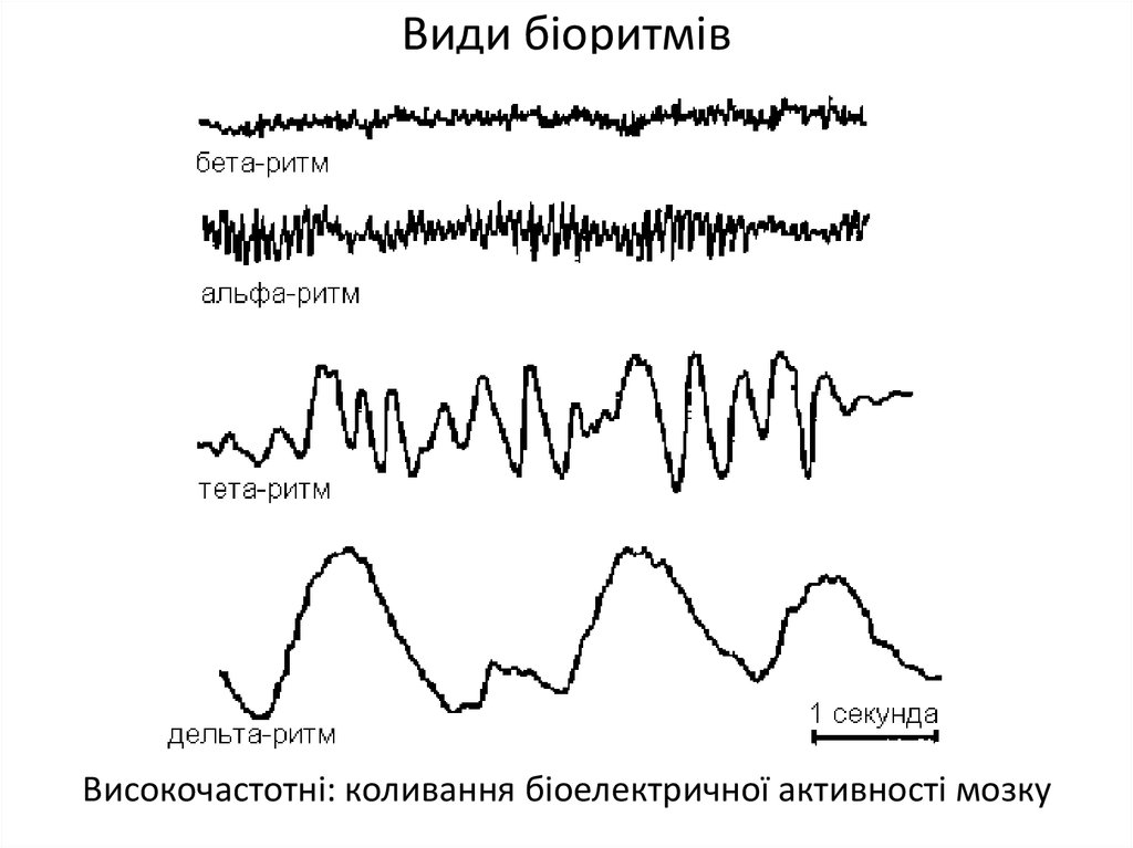 Альфа ритм. Альфа РИТ И тета ритм это. Сон тета бета ритм. Модуляция Альфа ритма это.