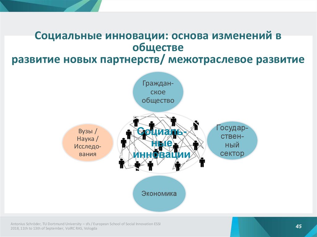 Новизна социального проекта пример