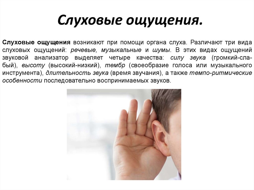 Слуховая память слуховое восприятия. Виды слуховых ощущений. Слуховые ощущения в психологии. Слух (ощущение). Слуховой вид ощущения пример.