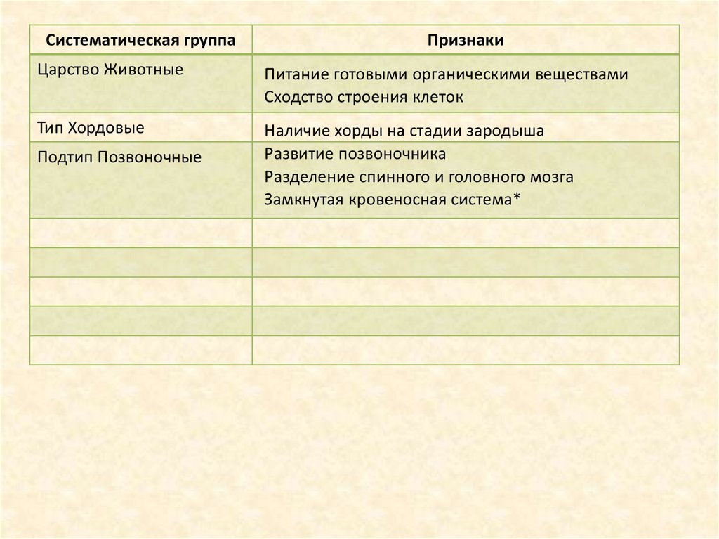 Систематическое положение сосны обыкновенной