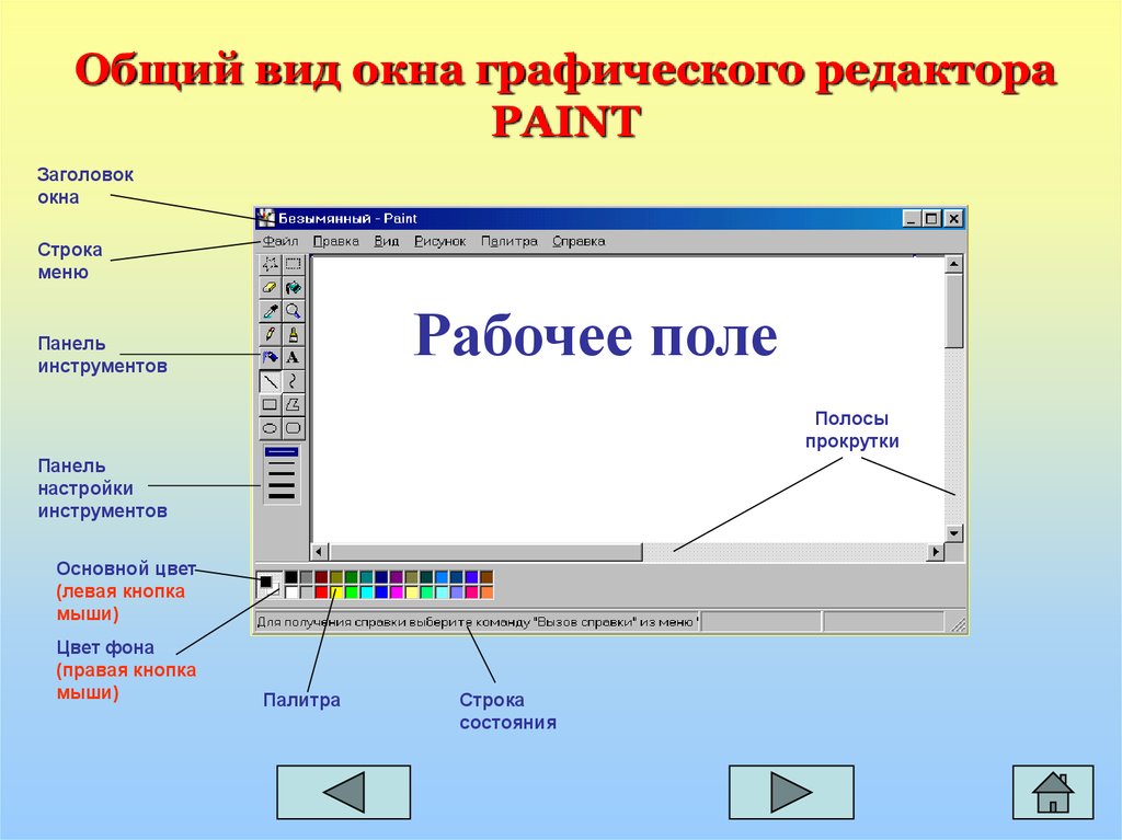 Основные операции возможные в графическом редакторе. Инструменты графического редактора. Окно графического редактора Paint. Возможности графического редактора Paint. Графический редактор Pain.