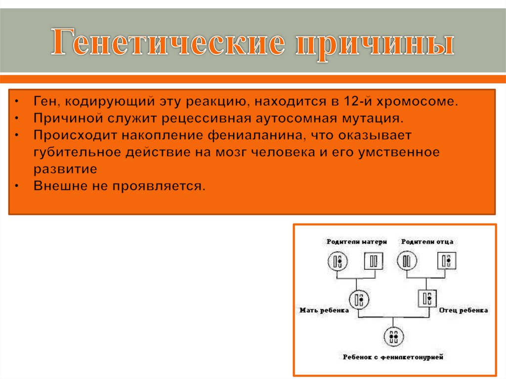 Фенилкетонурия презентация по генетике