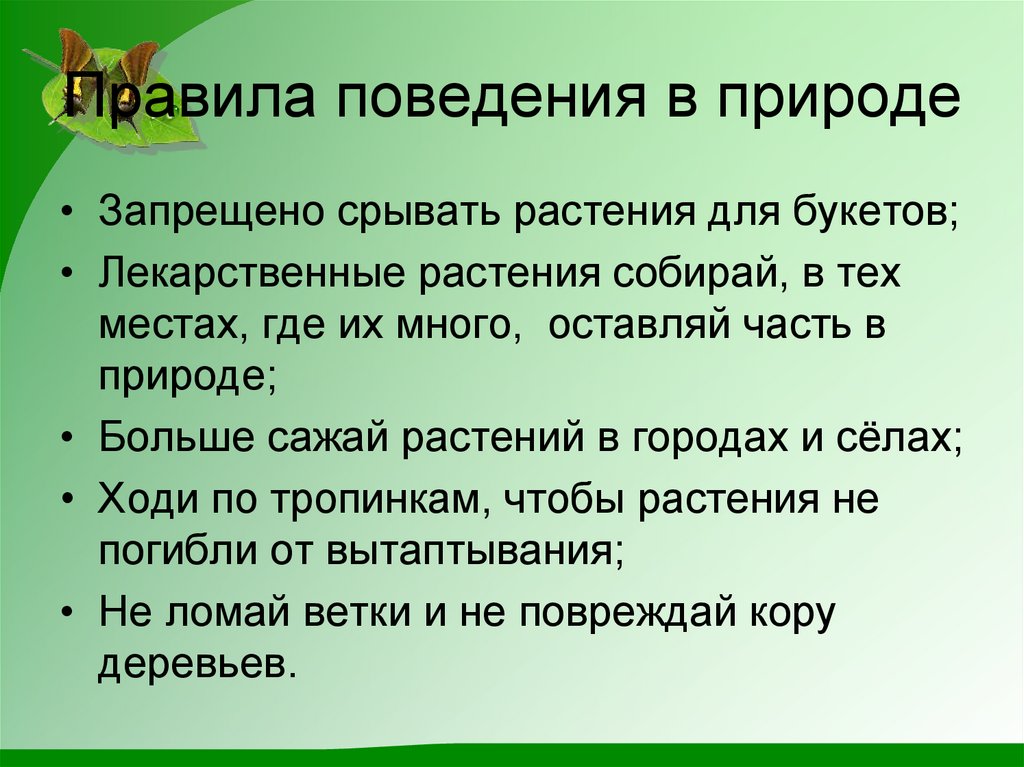 12 15 значение. Поведение растений в природе. Правила поведения с растениями. Значение растений в природе презентация. Правила поведения с растениями в природе.