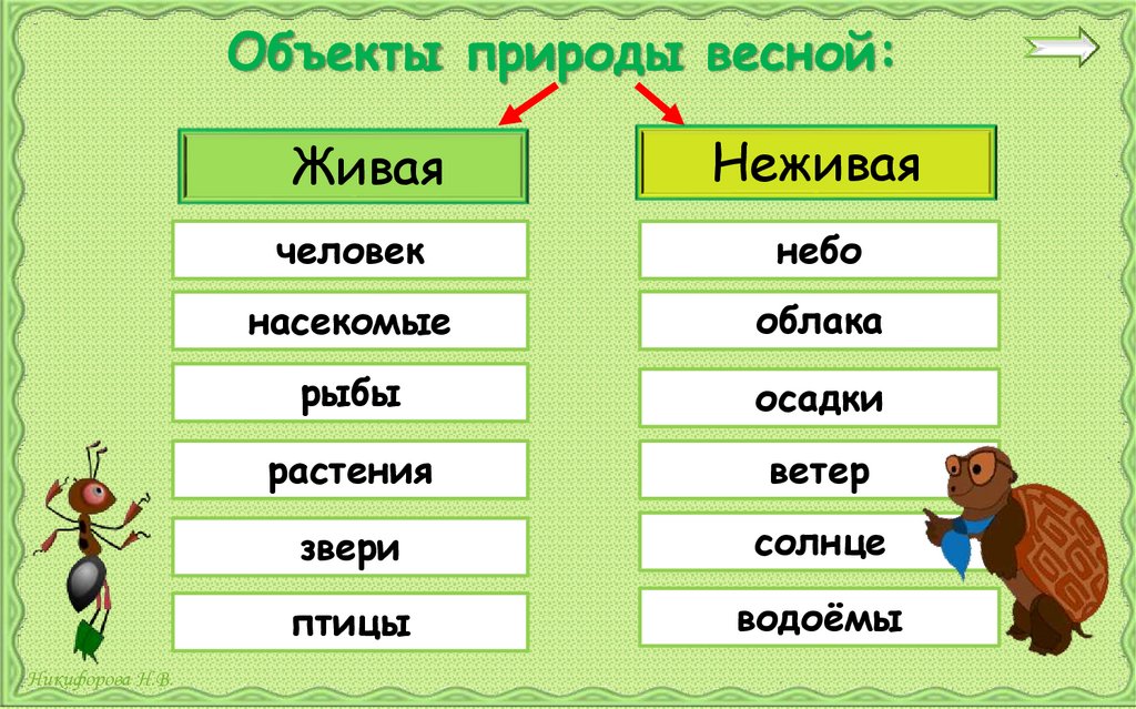 3 объекта природы. Объекты природы. Объекты живой и неживой природы 2 класс. Объекты природы 2 класс. Объекты природы окружающий 2 класс.