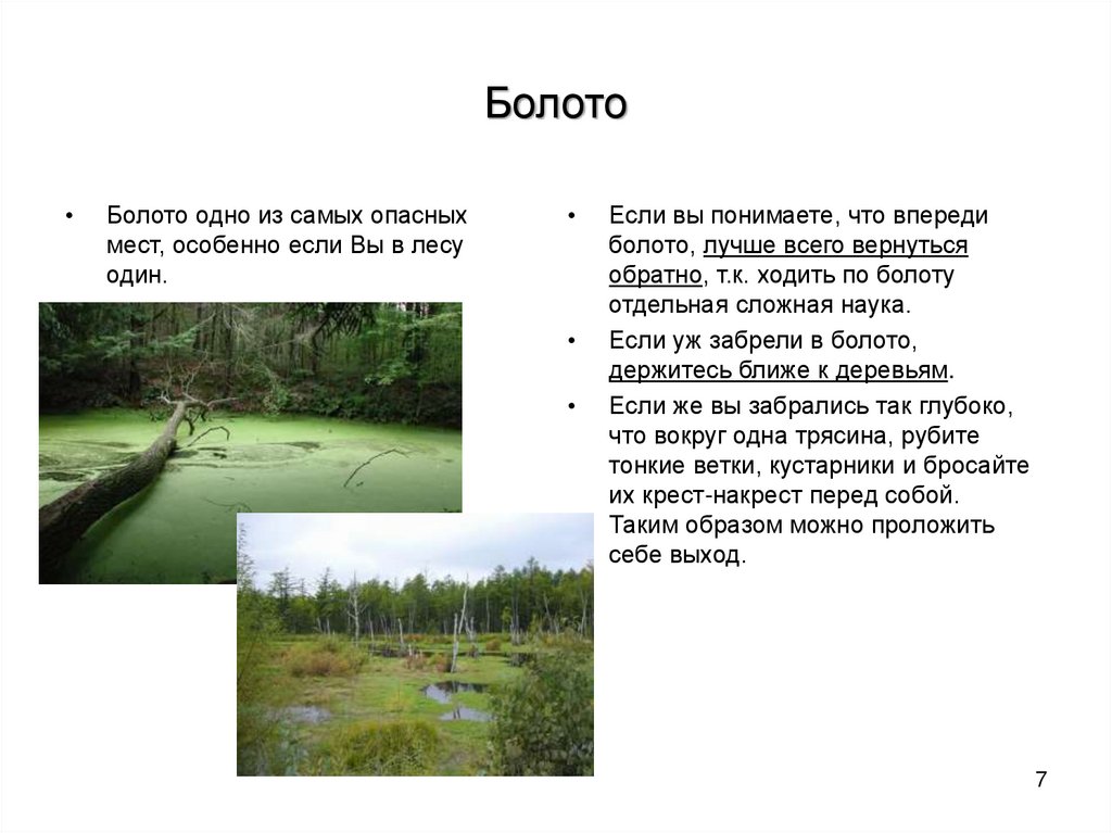 Текст болото идет параллельно. Опасности в лесу. Опасность болота в лесу. Опасности леса болото.