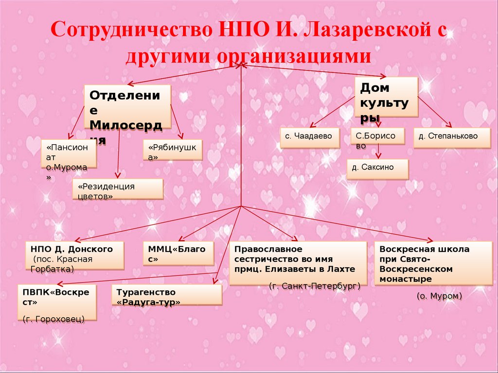 Сотрудничество НПО И. Лазаревской с другими организациями