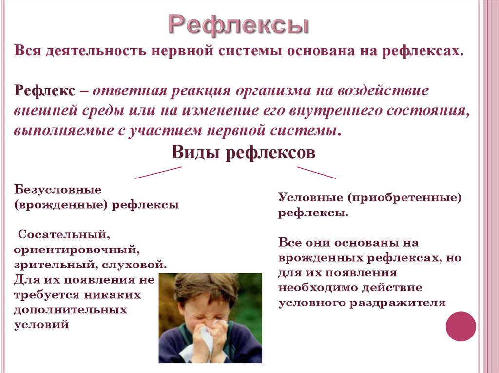 Ответная реакция организма при участии нервной системы. Ответная реакция организма на внешнее воздействие. Ответная реакция организма на воздействия внешней среды. Виды рефлексов нервной системы. Ответная реакция организма на внешние и внутренние воздействия.