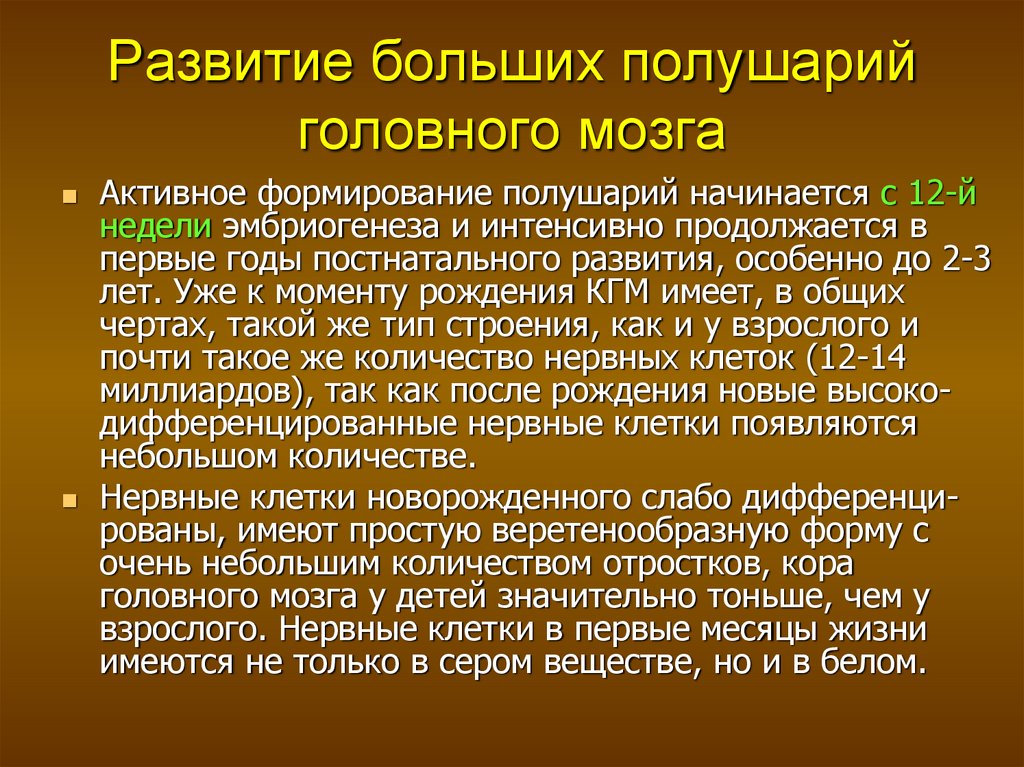 Наибольшее развитие. Развитие коры больших полушарий. Формирование коры больших полушарий. Развитие коры больших полушарий головного мозга. Этапы развития коры больших полушарий головного мозга в онтогенезе..