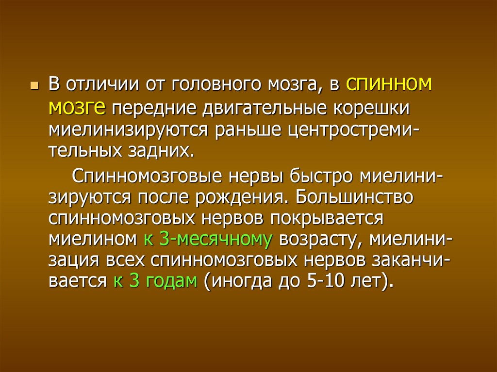 Система возрастов. Возрастные особенности спинного мозга. Миелинизируются. У плода раньше миелинизируются. Возрастные особенности спинного мозга 6-10 лет.