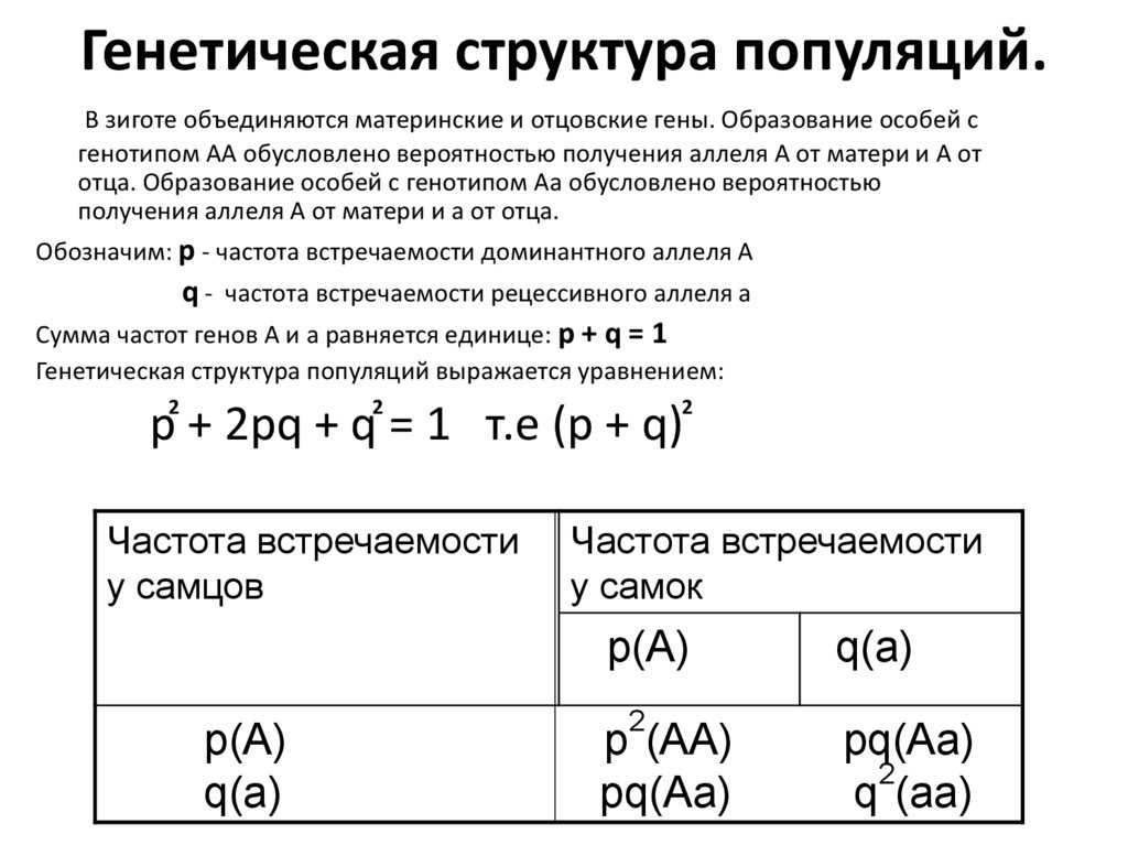 Генетический состав