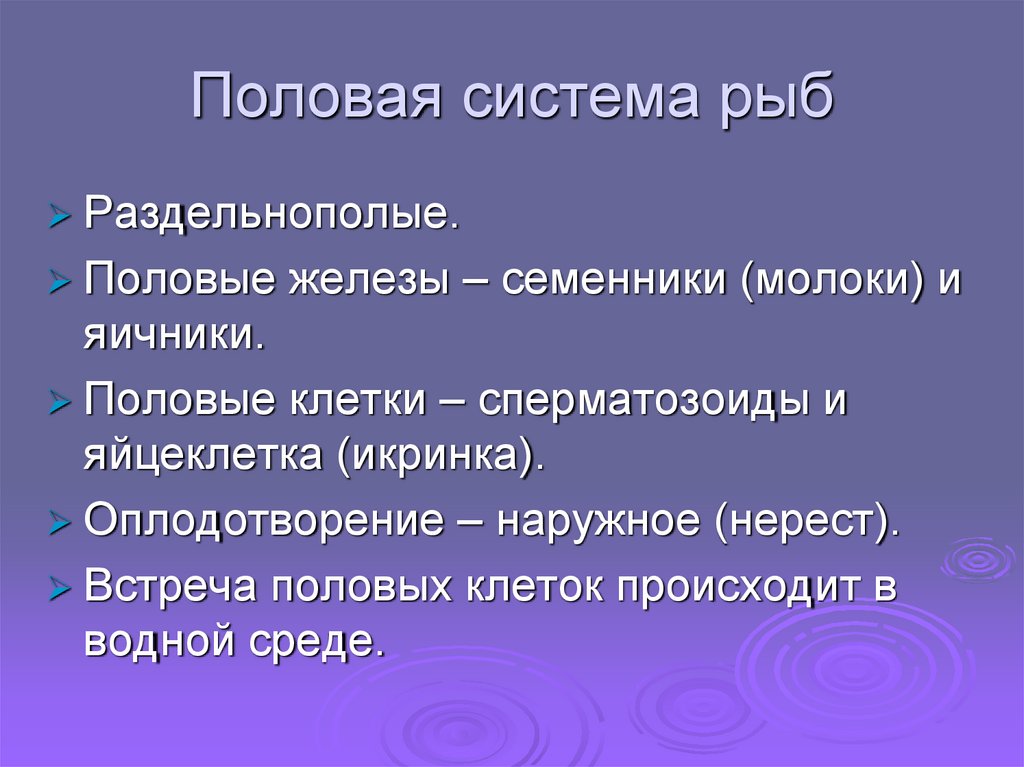 Функции полов. Половая система рыб.