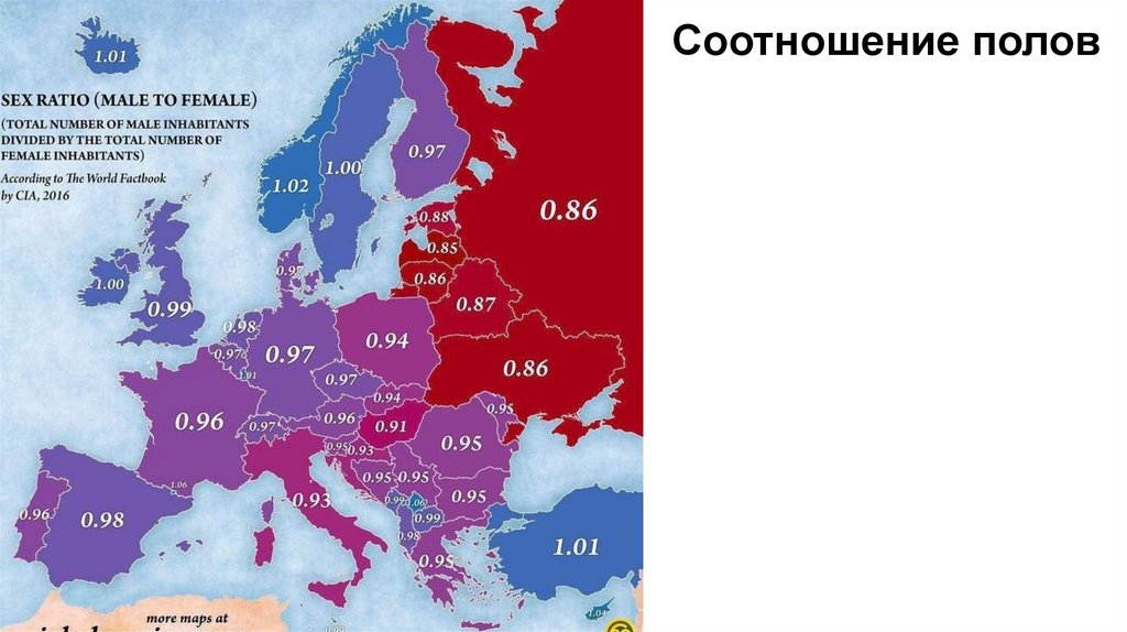 Соотношение полов