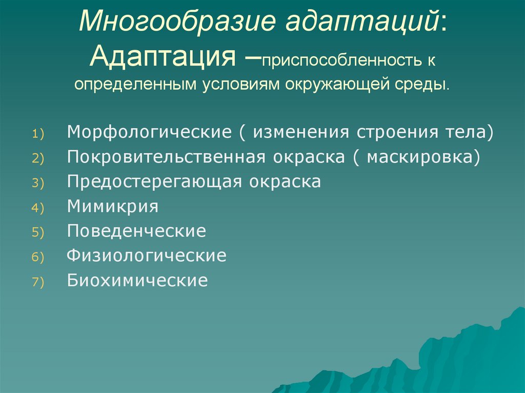 Адаптация организмов к условиям окружающей среды проект