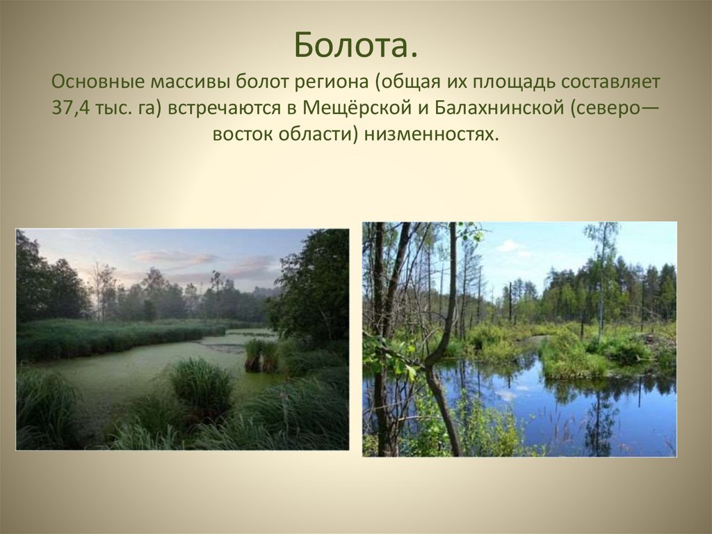 Болота. Основные массивы болот региона (общая их площадь составляет 37,4 тыс. га) встречаются в Мещёрской и Балахнинской