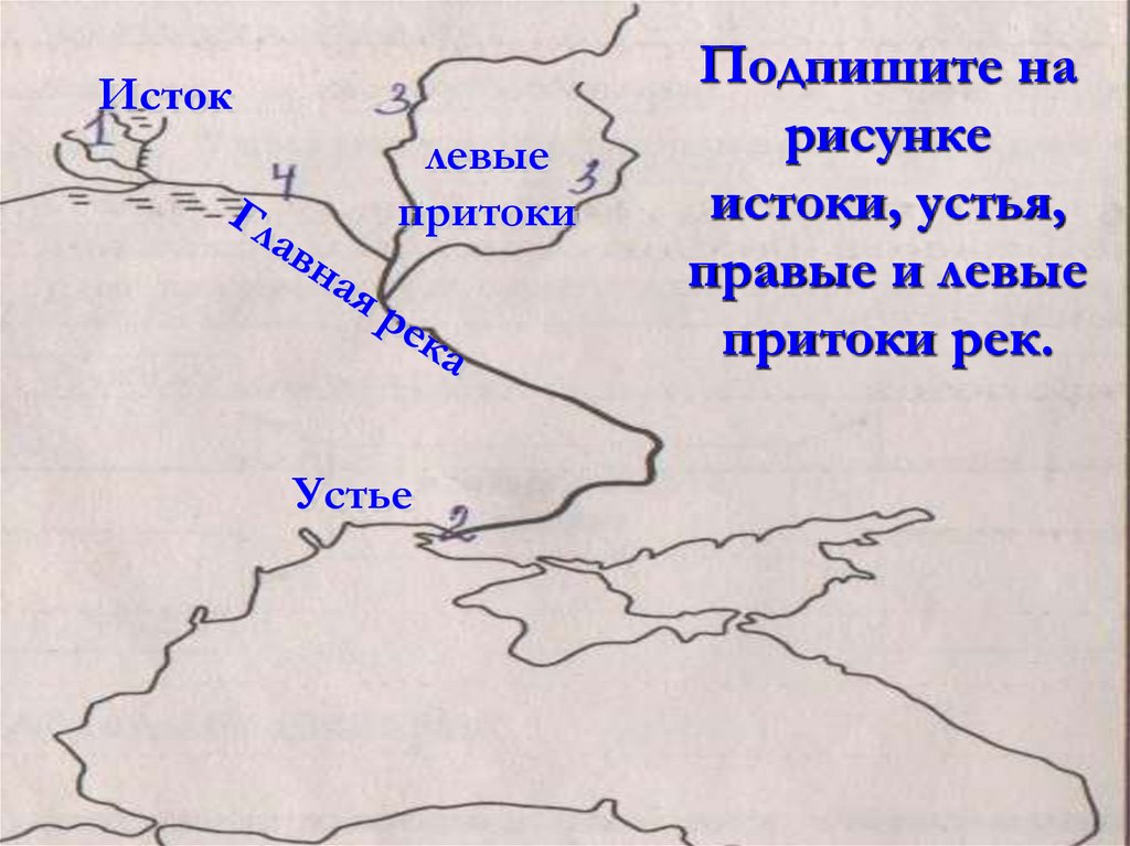 Притоки е. Река Березина Исток и Устье на карте. Левый приток. Правый и левый приток. Левый приток реки.