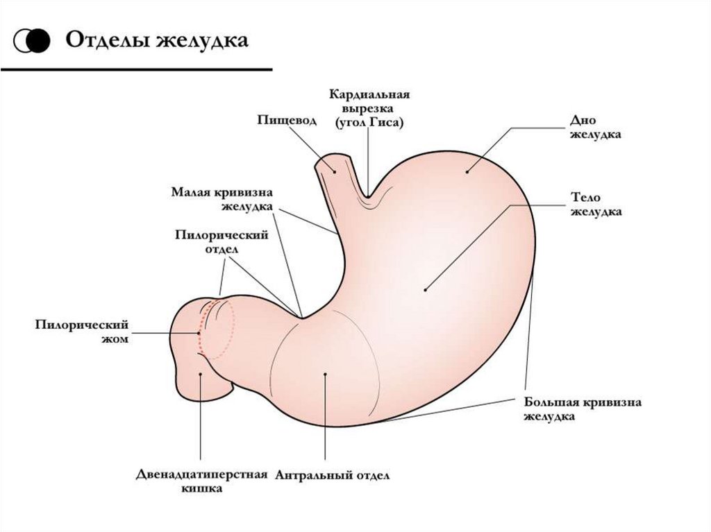 Где находится рисунок