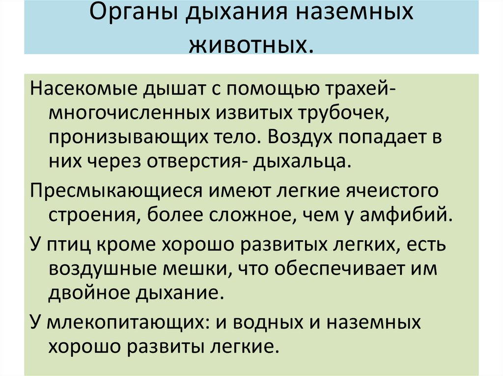 Дыхание наземного животного