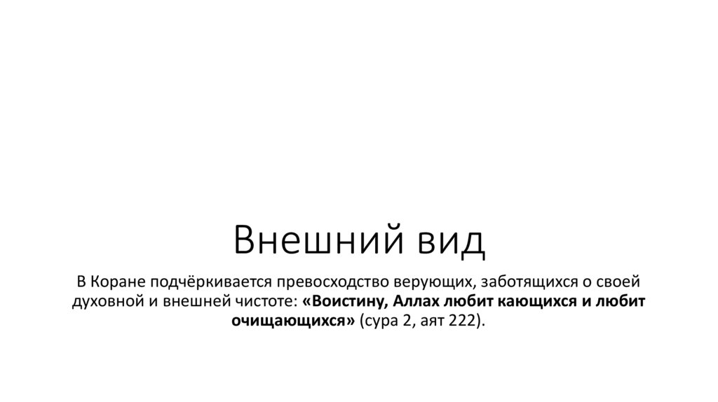 Внешний вид