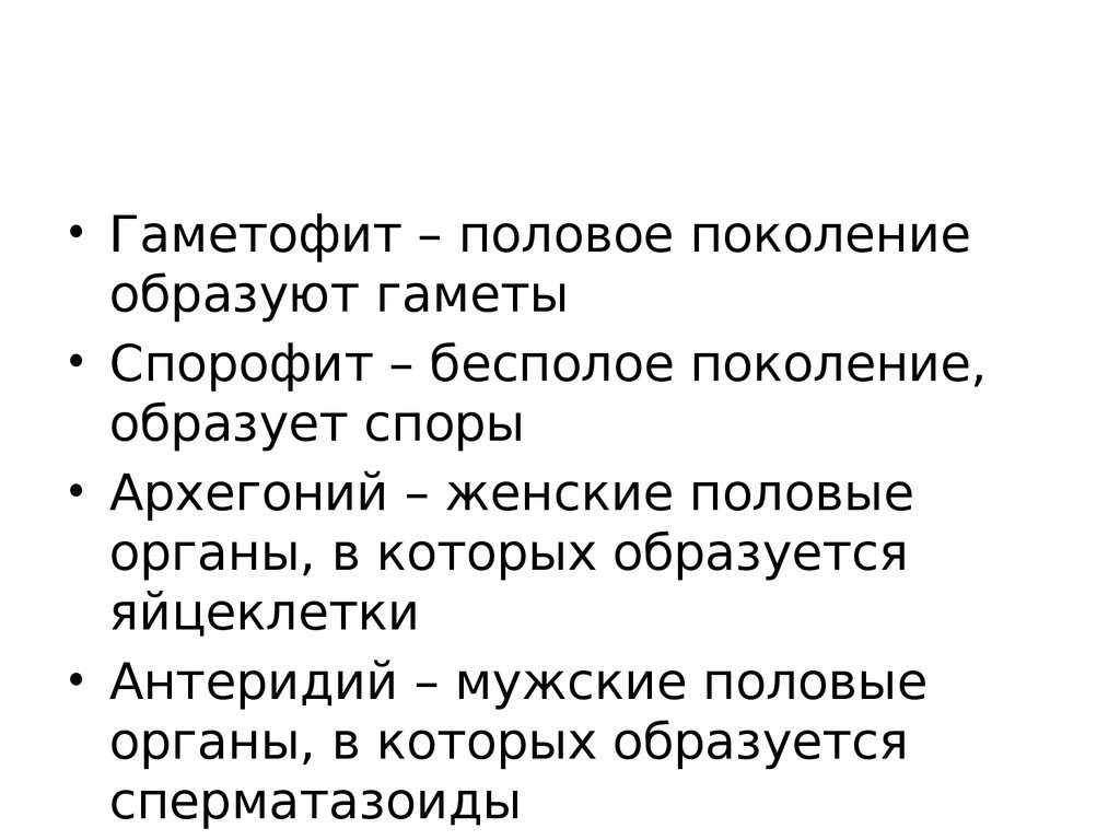 Половое поколение. Гаметофит половое поколение. Гаметофит это в биологии. Гаметофит это поколение. Поколение, образующее гаметы.