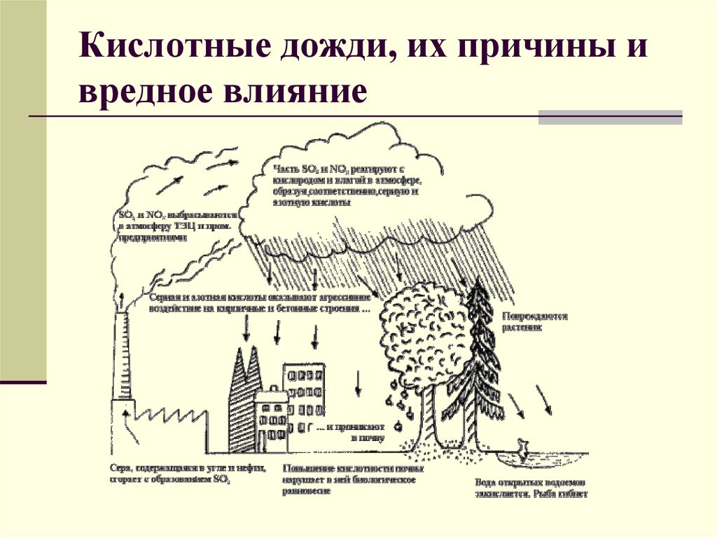 Кислотные дожди, их причины и вредное влияние
