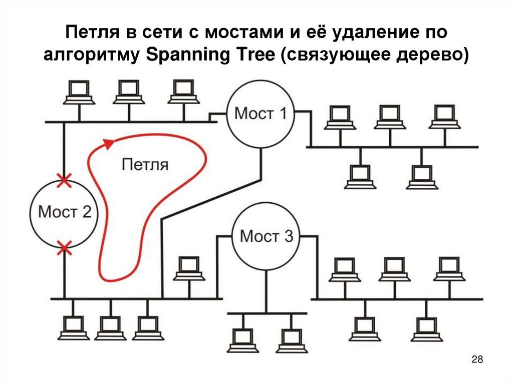 Петля в сети с мостами и её удаление по алгоритму Spanning Tree (связующее дерево)