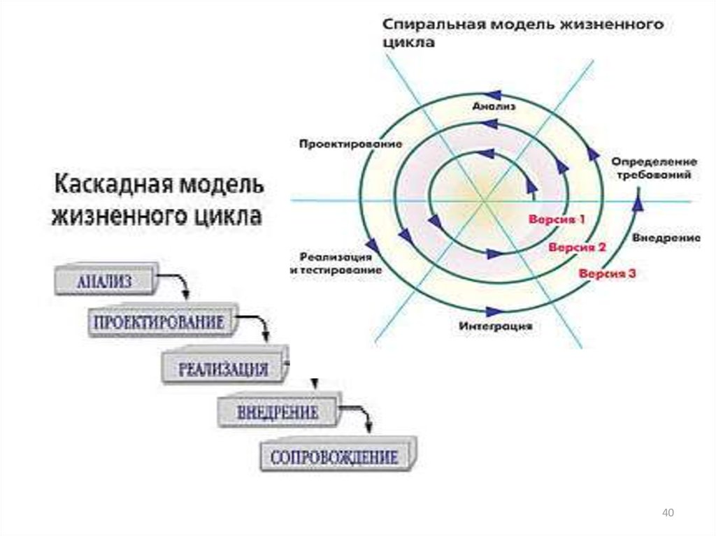 Модели жизненного. Каскадная и спиральная модель жизненного цикла. Цикл карьеры. Критерии успеха и неудач проекта. Цикл успеха.