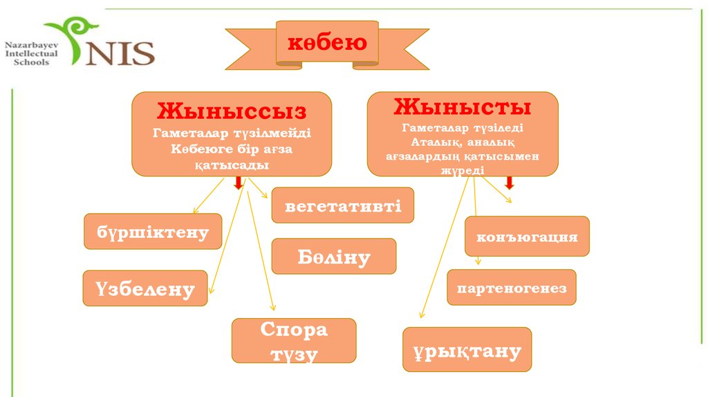 Өсімдіктердің көбеюі презентация