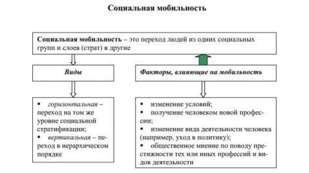 Виды социальной мобильности схема