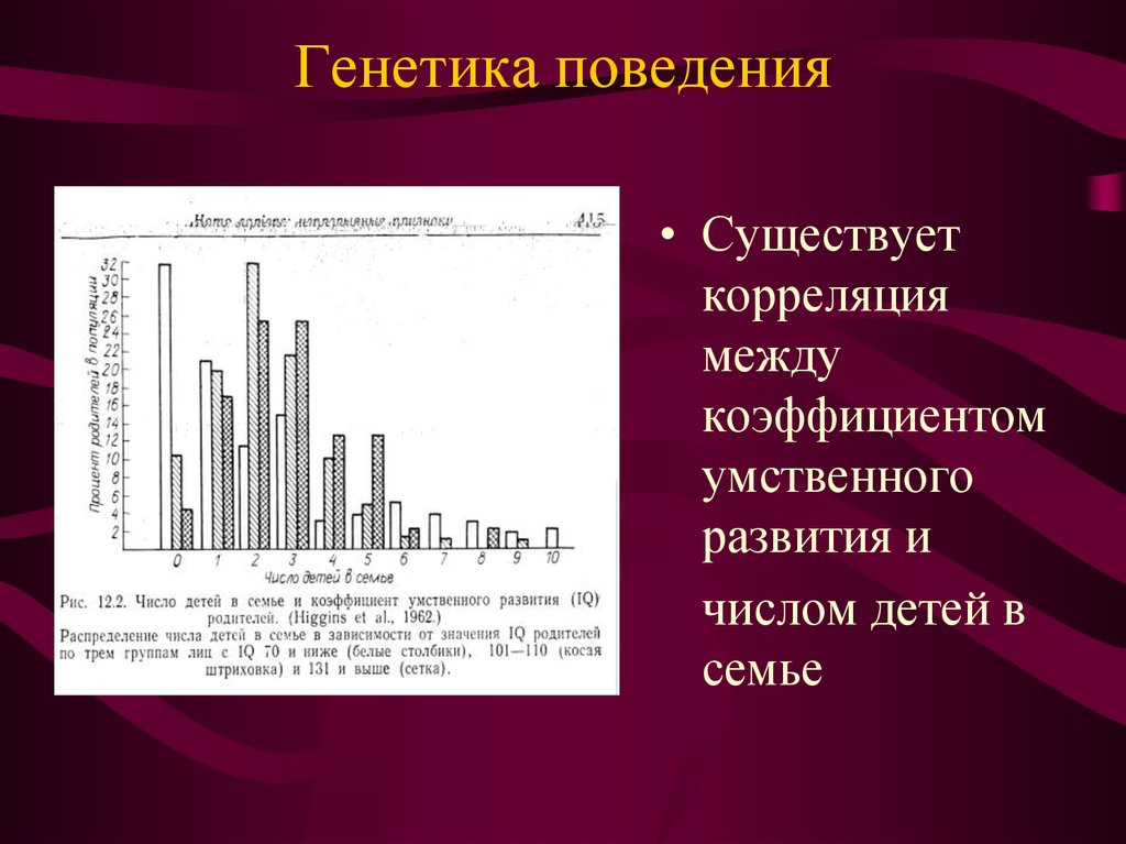 Генетика поведения презентация