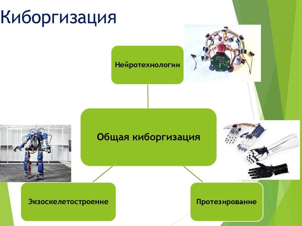 Биоинженерия и биоинформатика сеченова учебный план