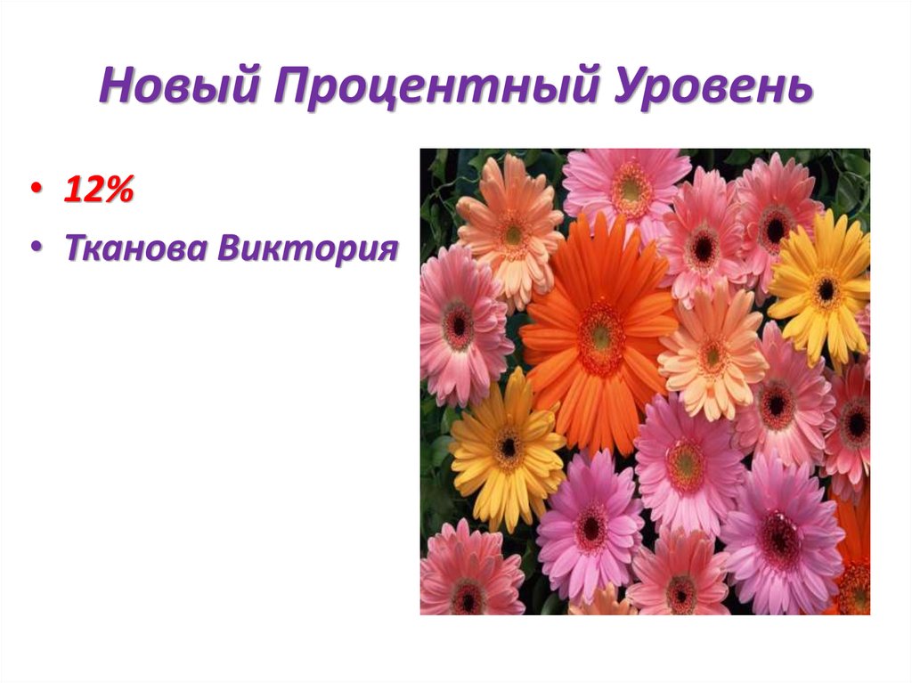 Новый Процентный Уровень