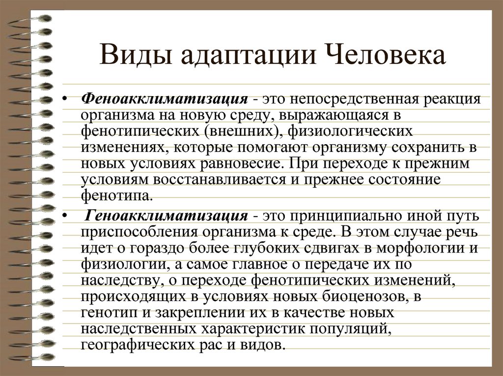 Адаптация человека это. Виды адаптации. Типы адаптации человека. Виды адаптации личности. Виды человеческой адаптации.