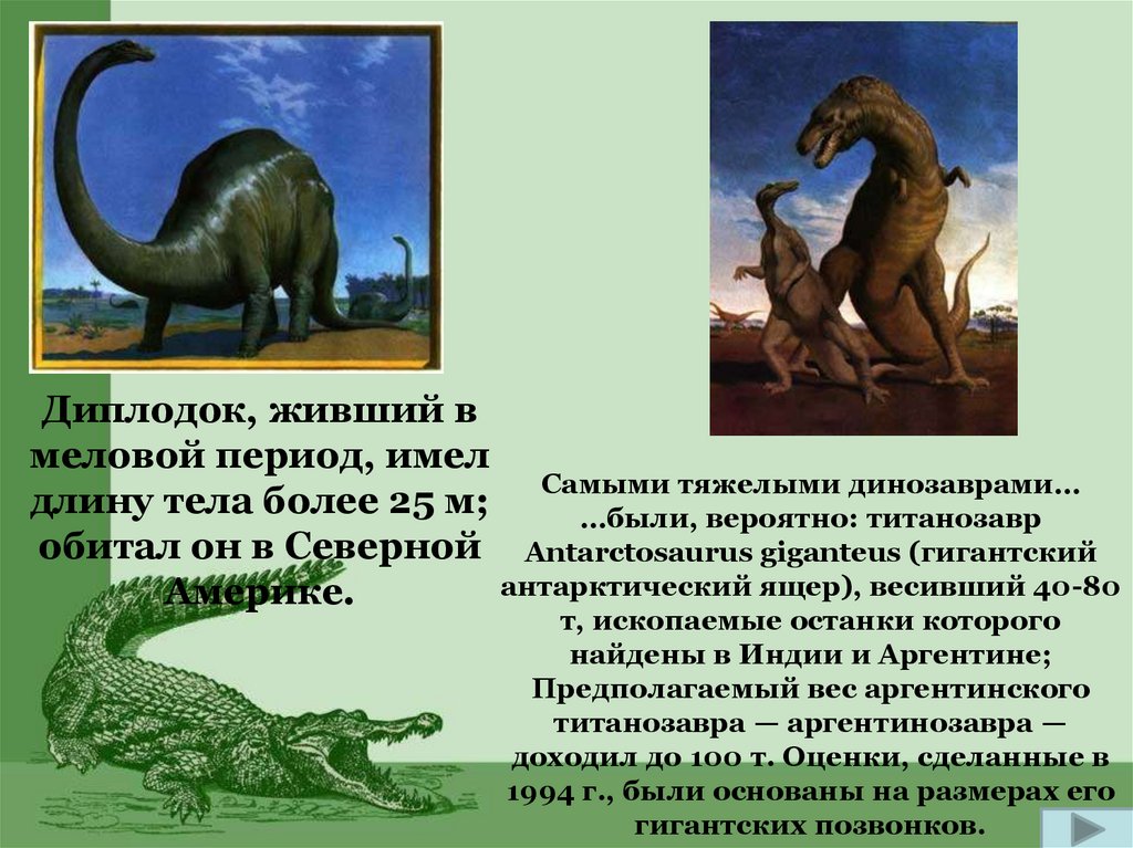 Происхождение рептилий 7 класс. Мини презентация про динозавров. Динозавр с тяжелым хвостом. Презентация значение и происхождение пресмыкающихся. Амурский динозавры презентация.