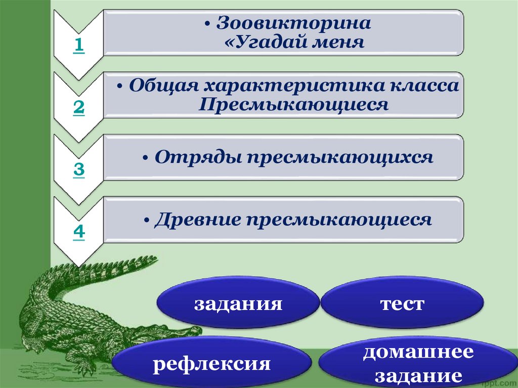 Разнообразие пресмыкающихся презентация 7 класс