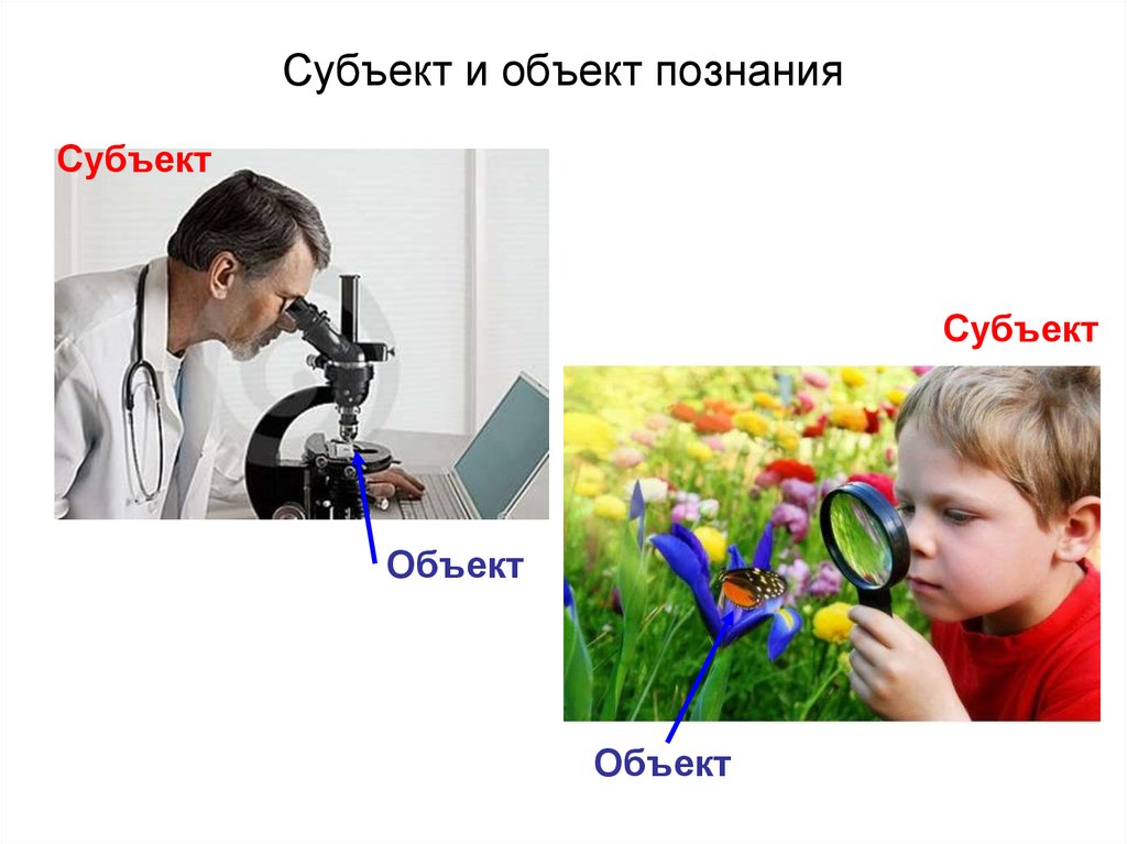 Субъекты познания природы. Субъект и объект познания. Объект познания. Субъект познания. Объект познания в философии.