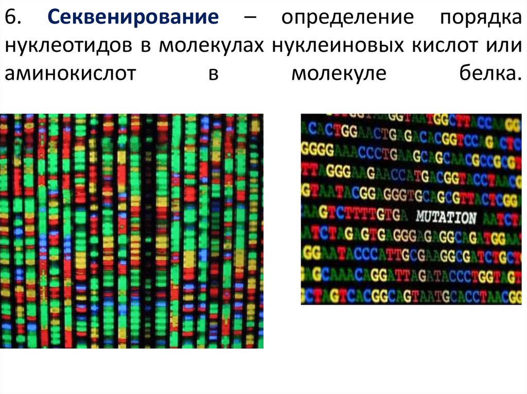 Секвенирование нуклеотидов. Метод секвенирования генома человека. Секвенирование нуклеотиды. Секвенирование метод в биологии. Секвенирование геномной ДНК.